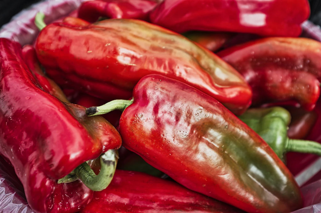 Extreme Heat Peppers for Culinary Adventures and Collectors