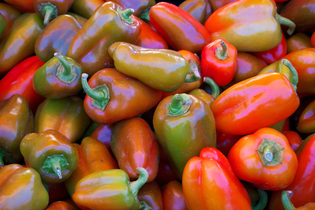 Delightful Mild Peppers for Flavorful Dishes